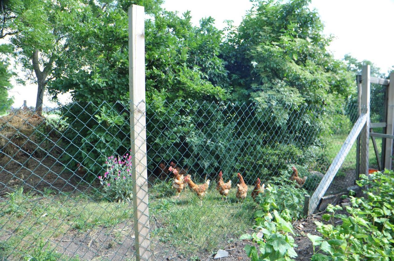 Ferienwohnung Landliebe 65347 Moormerland المظهر الخارجي الصورة